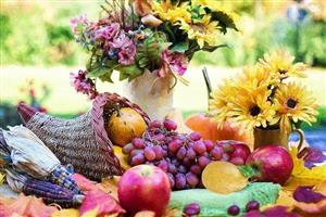 Outdoor Thanksgiving spread with a cornucopia, fruit, flowers, and maize.